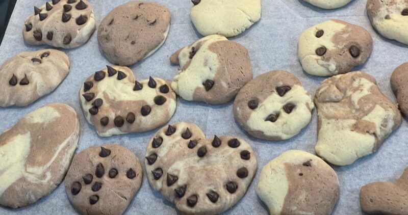 עוגיות טעימות קלות להכנה - מתכון בצק עוגיות לילדים